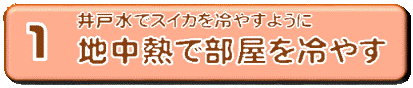 mdcbtn02