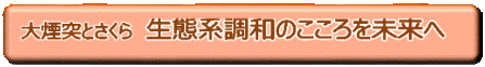mdcbtn10