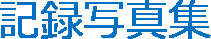 nv04