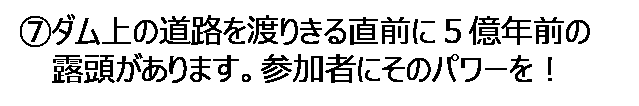 cap08